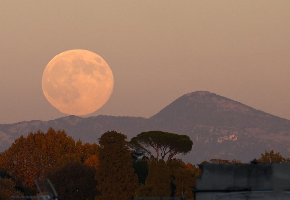  �������������F������